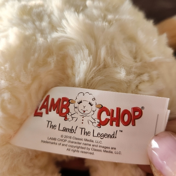 Small Dog Bundle - Picture 5 of 7